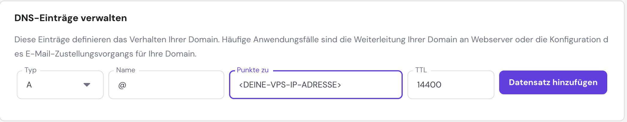 Screenshot der DNS-Einträge
