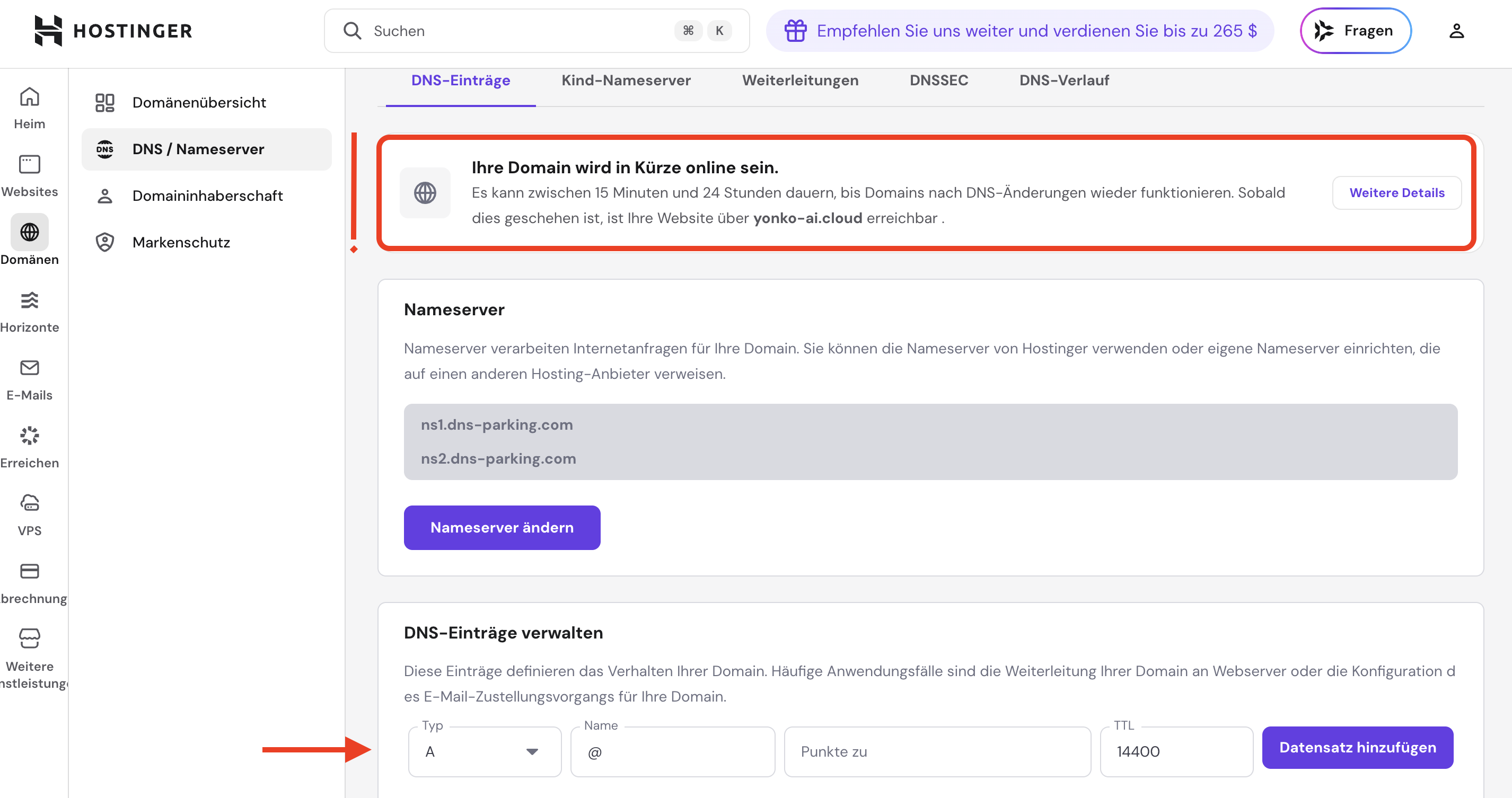 Screenshot der DNS Nameserver-Einstellungen