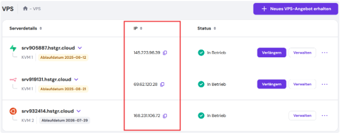 Screenshot: VPS IP-Adresse finden